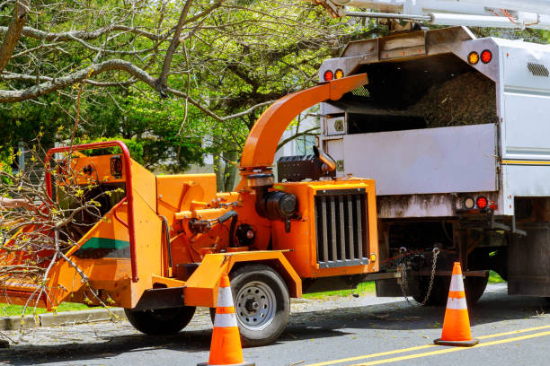  Finneytown, OH Tree Removal and Landscaping Services Pros